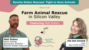 Farm Animal Rescues: Rancho Roben Rescues’ Fight to Save Animals in Silicon Valley